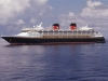 Disney Magic
